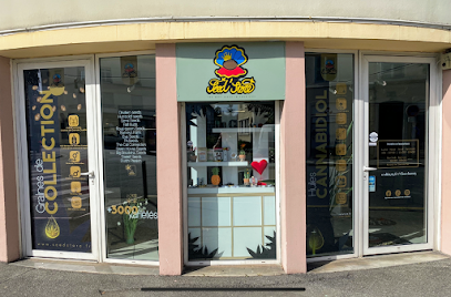 CBD Pau ~??seed’store ~ Fleurs CBD Pau & Résines CBD Pau ~ Huiles CBD Pau ~ Rue du 14 Juillet