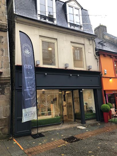 CBD Quimper - The Hemp Concept