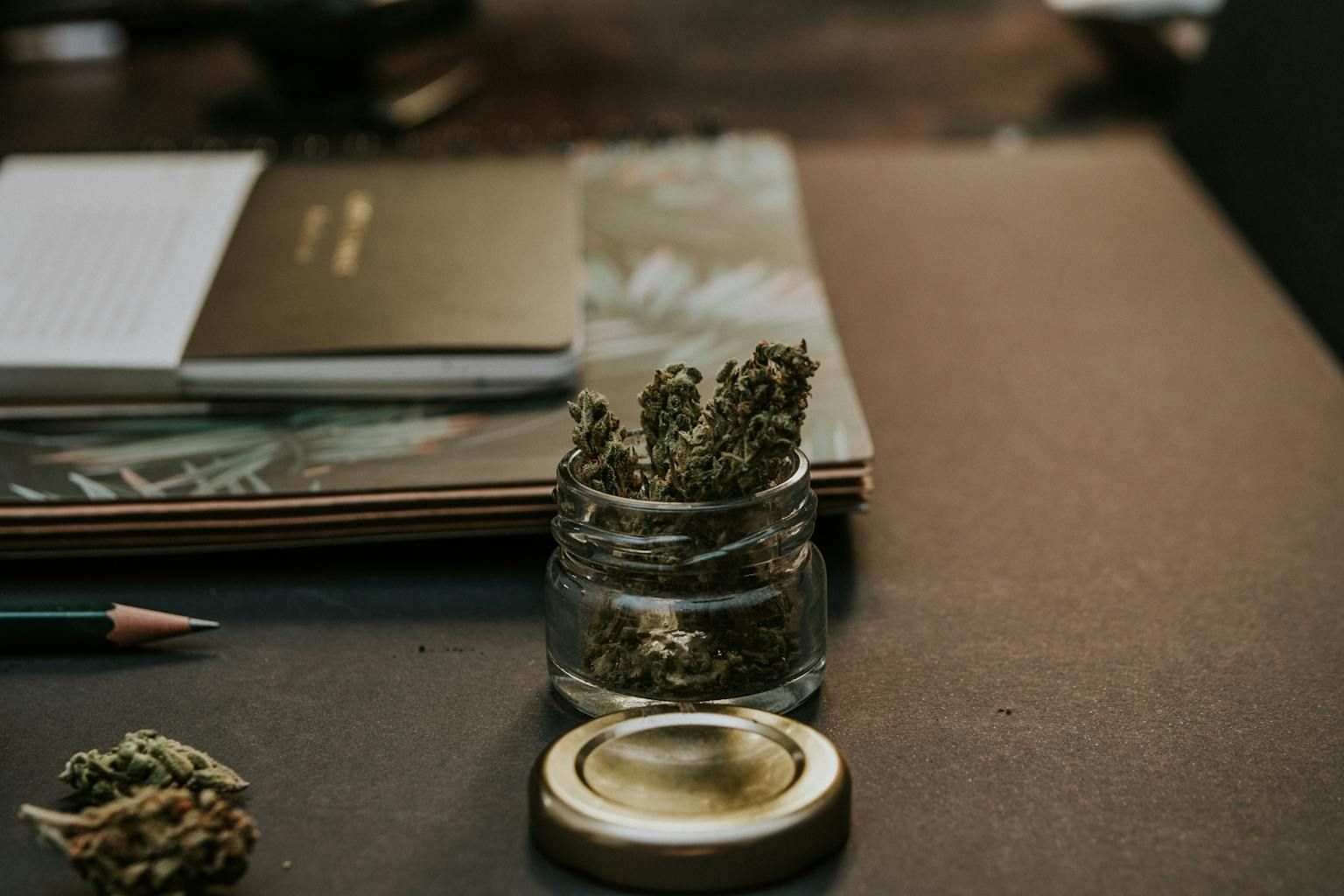 Comment intégrer le CBD et les plantes relaxantes dans votre routine quotidienne ?