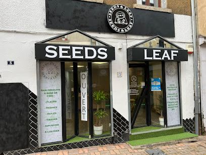 Seeds And Leaf Chanvre et CBD