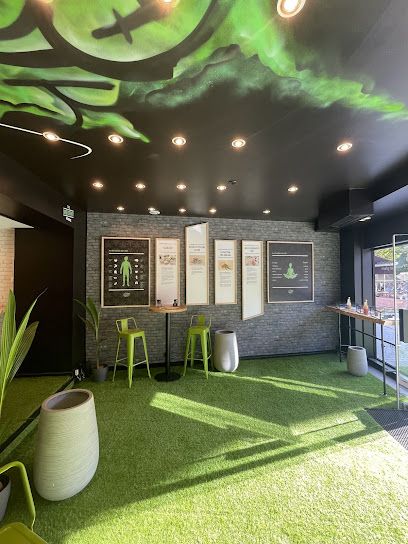 Weed Corner CBD shop Rouen